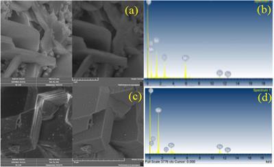 Fabrication of novel oxochalcogens halides of manganese and tin nanocomposites as highly efficient photocatalysts for dye degradation and excellent antimicrobial activity
